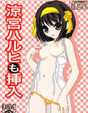 涼宮ハルヒも挿入(DMM)