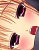 魔法少女リリカルちじょなのっ！2ちいさなおむねとおおきなおむね～(DMM)
