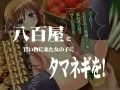 初めての乙快