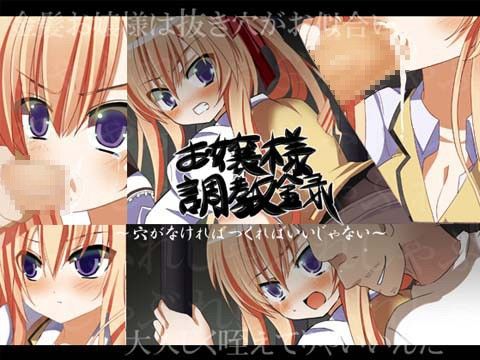 【10%OFF】
お嬢様調教録〜穴がなければつくればいいじゃない〜