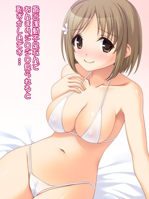 【10%OFF】 ぬるぬる脱衣ブロック崩し 【10%OFF】 ぬるぬる脱衣ブロック崩し