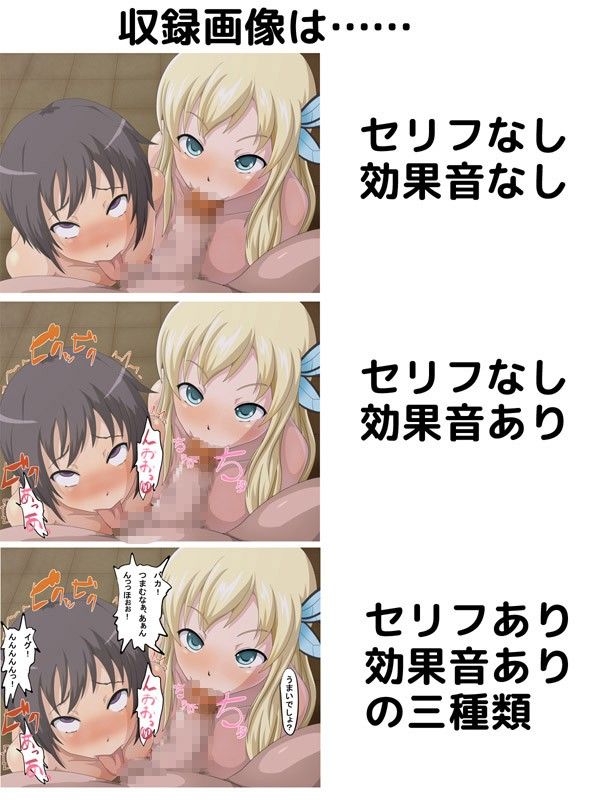 2013年を振り返る  エロ2