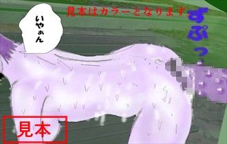 寝取られお姉さん4.5 北松屋 エロ3