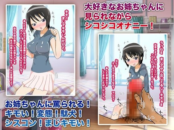 ツンデレな姉が突然、童貞の俺に性教育してくれた 47.5％ エロ2