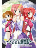 SEED総集編 in GANDAM SEED(DMM)