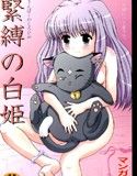 緊縛の白姫(DMM)