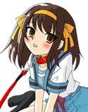 涼宮ハルヒさんの危険な愛体験 1＆2(DMM)