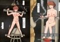 風の谷の公開恥刑