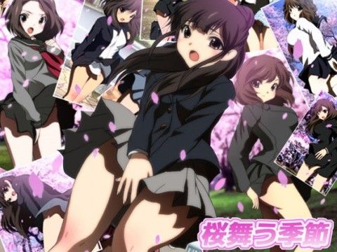 【10%OFF】
桜舞う季節