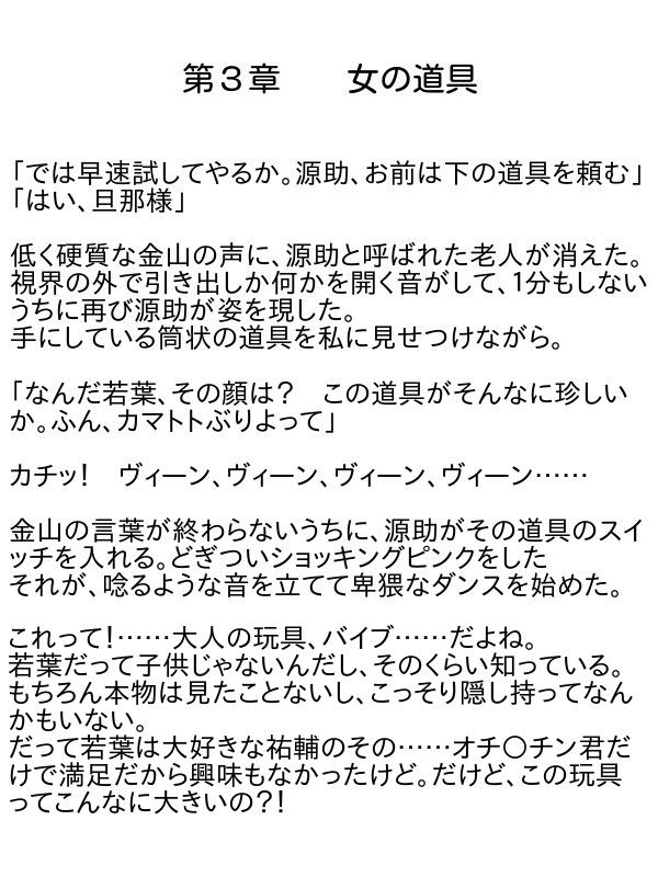 あなたのためなら私は…… 恥辱なる小説 エロ2