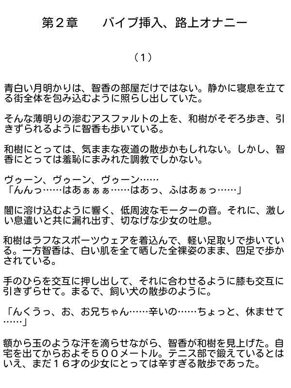 美処女奴隷淫獄の世界 恥辱なる小説 エロ2