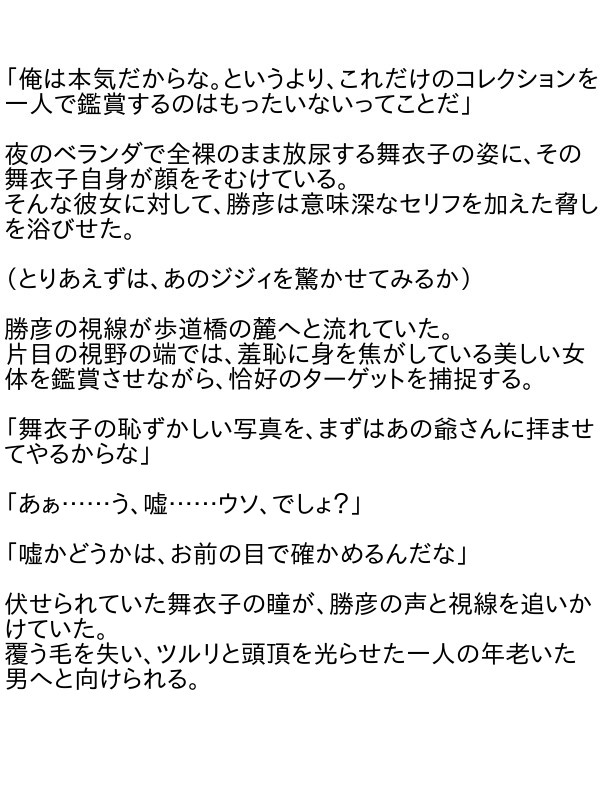 漏れちゃう~営業ガール・涙の恥辱責め3