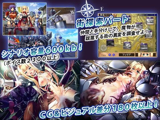 淫夢街 ～女勇者魔姦クエスト～ 画像2