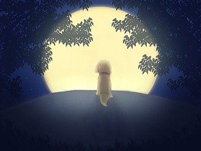 無料 タダ