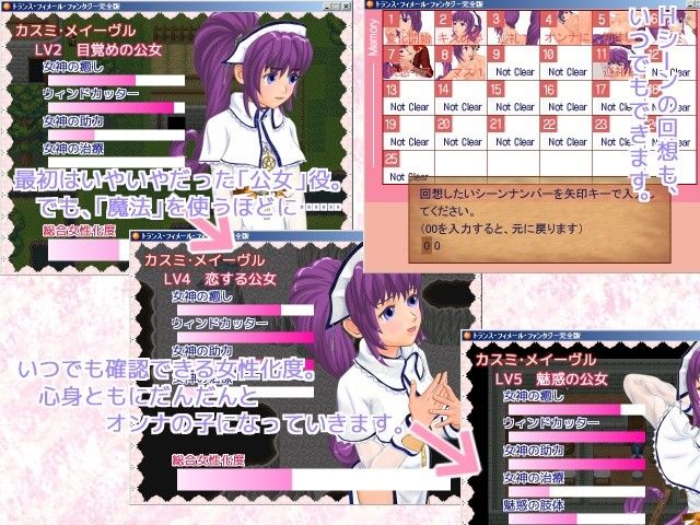 トランス・フィメール・ファンタジー完全版 6colors エロ2