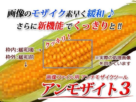 【南風ソフト 同人】アンモザイト3