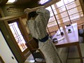 密着生撮り 人妻不倫旅行 #057の画像 27