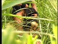 素人娘暴露DVD ネコかぶってんじゃね〜よ!のサンプル画像 7
