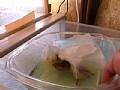素人ナンパトイレ号がゆく 外伝 TOKYOガールズうんち4 画像39