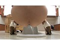 素人ナンパトイレ号がゆく 外伝 東京熟女脱糞プレミア ここでしか見られない!S級熟女達の初脱糞!! 画像18