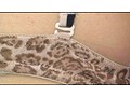 憧れのブラジャー 2 - アダルトDVD通販 - DMM.R18