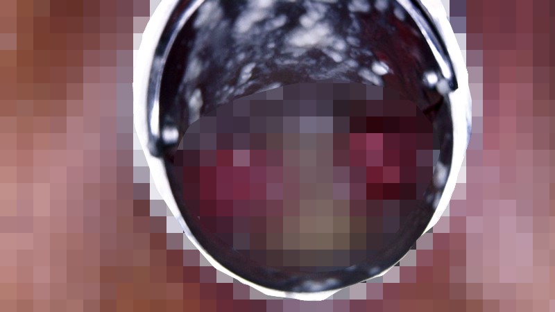h_812ebr012 [EBR-012] 子宮口膣壁むきだし淫乱オナニー 通販(DVD) - erovi エロビ