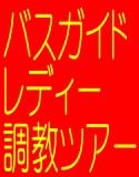バスガイドレディー調教ツアー！タイトスカート豚尻責め！異常性欲変態男に狙われた観光バス(DMM)