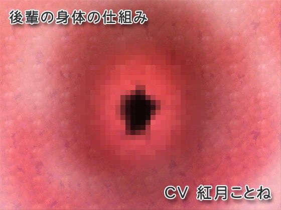 【不協和音 同人】妄想H～後輩の身体の仕組み～