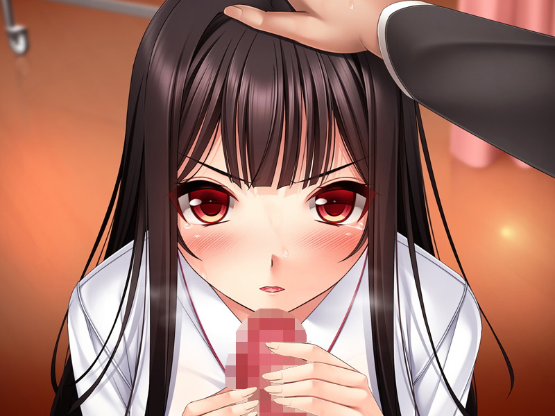 女子校生脅迫淫行日誌 ～仲良し巨乳ペット強制絶頂アクメ堕ち～ 画像3