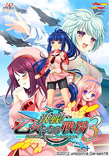 決戦!乙女たちの戦場3-電撃作戦!戦果はエースの名のもとに- 豪華限定版 流通テレカ付