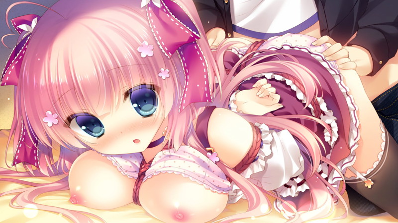 箱庭ロジック ～瑚子といちゃらぶ! SM生活～ 画像2