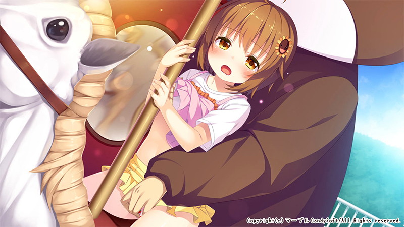 甘園ぼ ～二人だけのヒミツの遊び～ 画像11