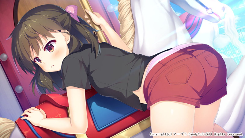甘園ぼ ～二人だけのヒミツの遊び～ 画像13