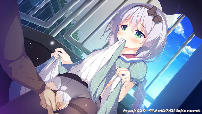 甘園ぼ ～二人だけのヒミツの遊び～ 画像15