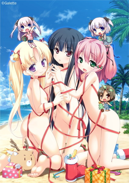 サンタフル☆サマー 流通テレカ付