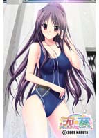 プリ☆さら -ドキドキ×らぶらぶWファンディスク- 初回限定生産版