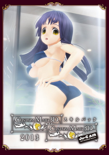 カスタムメイド3D スキルパック2013