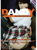 「DANDY特別版 日本中を勃起させたあの美淑女/女子校生/エステティシャン/看護師は今!?もう一度逢ってヤられたい!」