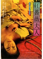 紅薔薇夫人