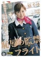キャビンアテンダント 恥辱の監禁フライト 原千尋