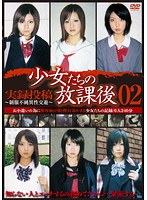 <STRONG>少女</STRONG>たちの放課後 02 実録投稿〜制服不純異性交遊〜