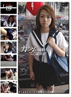 占位图