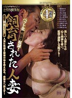 占位图