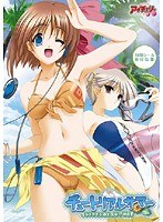 チュートリアルサマー (DVDPG)