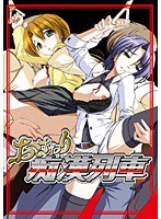 おさわり 痴漢列車 (DVDPG)