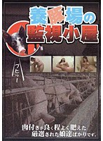 占位图