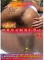 占位图