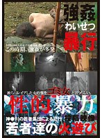 占位图
