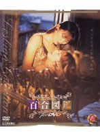 Lily Book For DVD
