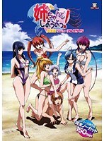 姉、ちゃんとしようよっ! 完全版 リニューアルモザイク